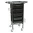 Breeze hairdressing trolley
