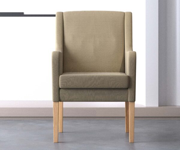 Zed Armchair with Cushion