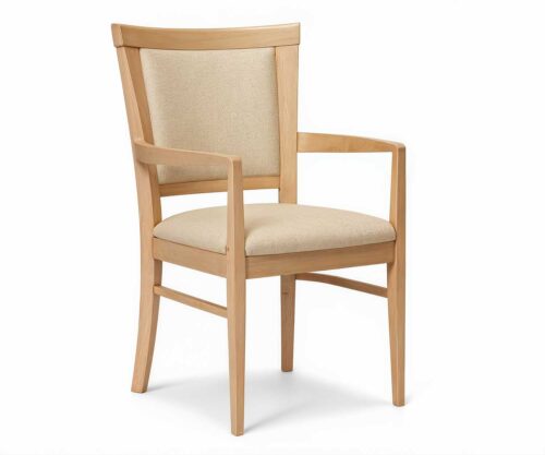Mariana Dining Armchair by FHG
