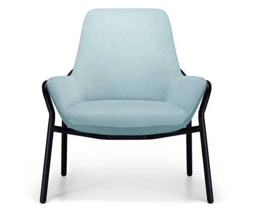 Cora Forte Bariatric Armchair by FHG