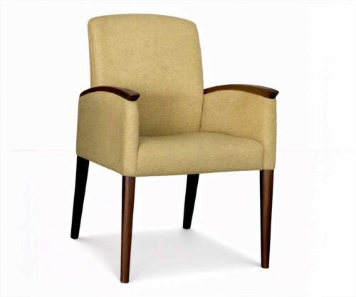 Diana Armchair by FHG