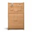 Acute Hospital Bedside Cabinet Locker by FHG