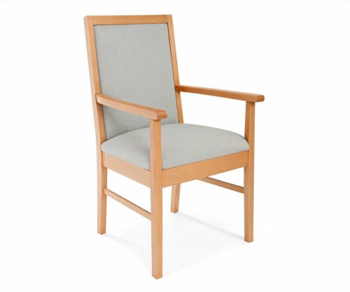 Delta Dining Armchair by FHG