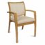 Froya Dining Armchair by FHG